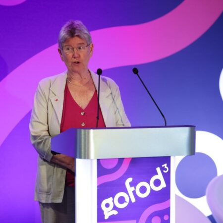 Person standing at podium delivering a talk to an audience.
