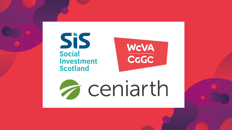 Gofod 2024 Organisation Sis Wcva Ceniarth