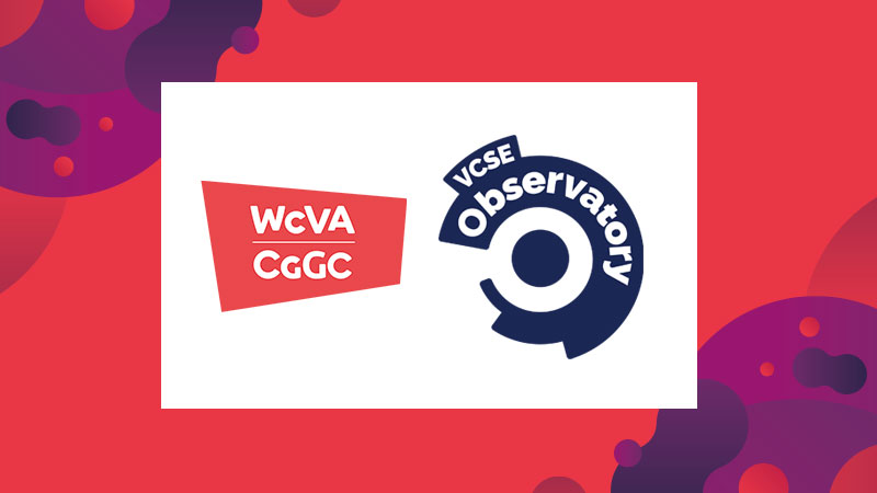 Gofod 2024 Organisation Wcva Vcse Observatory